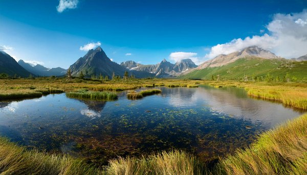 Unlock Budget-Friendly Excursions: Essential Tips for Experiencing York's Historic Gems Affordably